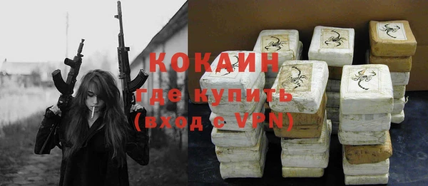 ГАЛЛЮЦИНОГЕННЫЕ ГРИБЫ Гусев