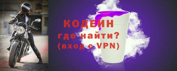 ГАЛЛЮЦИНОГЕННЫЕ ГРИБЫ Гусев