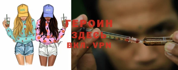 ГАЛЛЮЦИНОГЕННЫЕ ГРИБЫ Гусев
