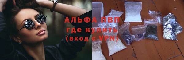 сатива Гусь-Хрустальный
