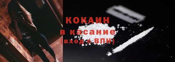 сатива Гусь-Хрустальный