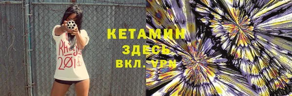 сатива Гусь-Хрустальный