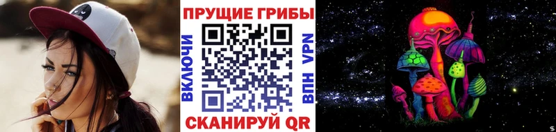 Галлюциногенные грибы Cubensis  Горячеводский 